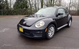 Volkswagen Beetle 2.0T S