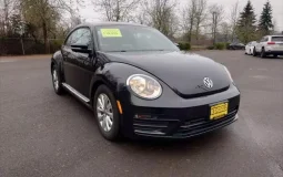 Volkswagen Beetle 2.0T S