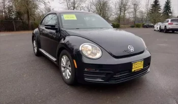 
									Volkswagen Beetle 2.0T S full								