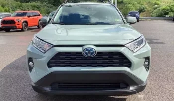 
									Toyota RAV4 Hybrid XLE full								