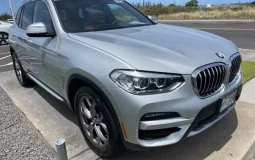 BMW X3 PHEV xDrive30e