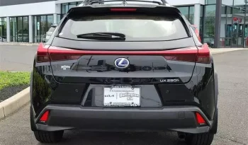 
									Lexus UX 250h Base full								