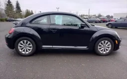 Volkswagen Beetle 2.0T S