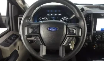 
									Ford F-150 XL full								