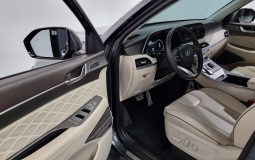 Hyundai Palisade Gasoline 3.8 2WD VIP