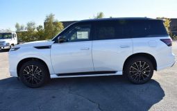 INFINITI QX80 AUTOGRAPH AWD, 2024