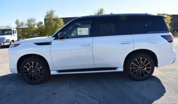 
									INFINITI QX80 AUTOGRAPH AWD, 2024 full								