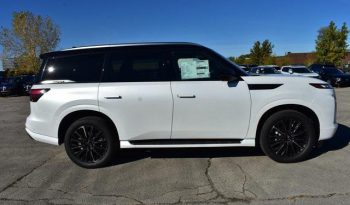 
									INFINITI QX80 AUTOGRAPH AWD, 2024 full								