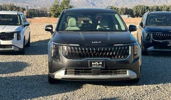 
									Kia Carnival, 2024 full								