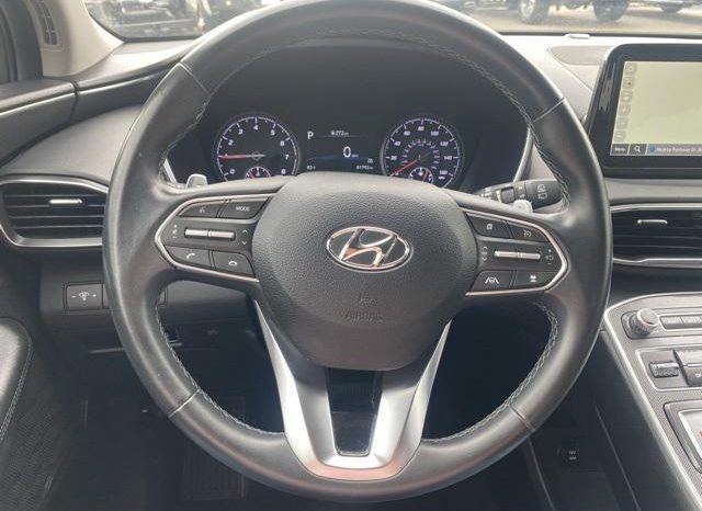 
								Hyundai Santa Fe (China Market), 2023 full									